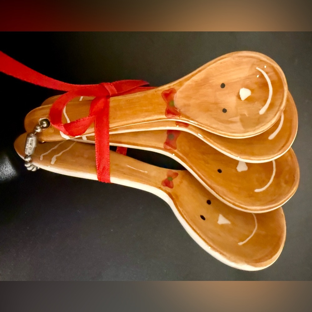 NEW Gingerbread painted ceramic teaspoon measuring set
